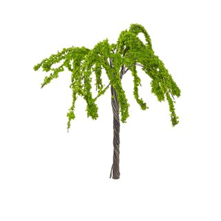 Mini-Baum Weide