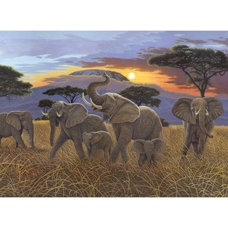 Malen nach Zahlen Junior Elefanten